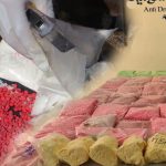 中国男子被判30年监禁,永久禁止入境柬埔寨-免费彩金-白嫖网-白菜论坛