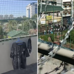 菲律宾狗推们的归宿：阳光监狱 的前世今生-免费彩金-白嫖网-白菜论坛